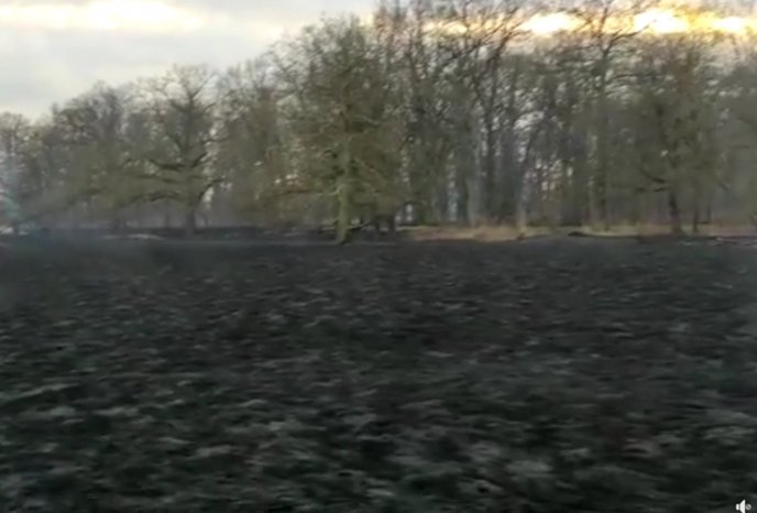 W Ciemienicach spłonęło 60 hektarów trawy, łąki i pola.