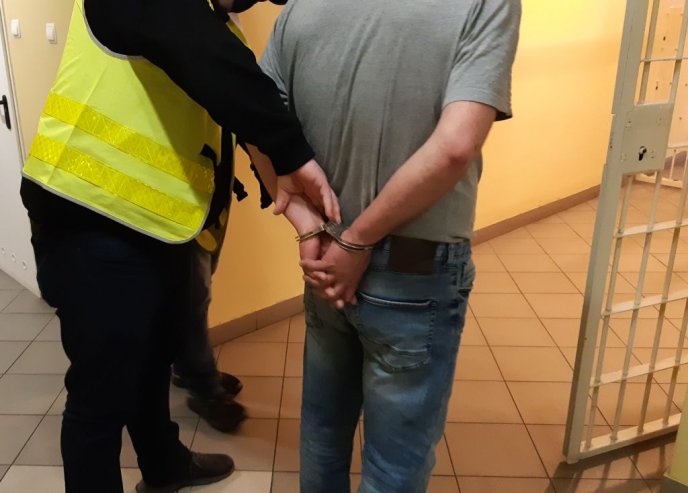 Podejrzany o uprawę marihuany zatrzymany przez kryminalnych z Sulechowa.